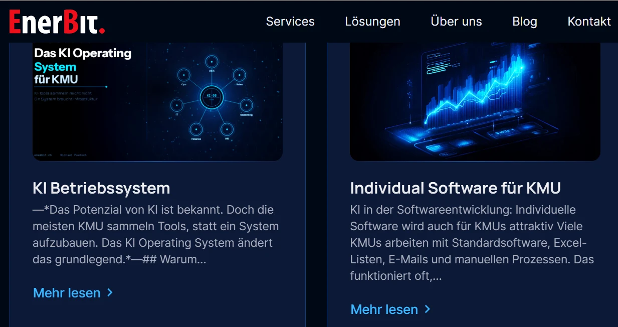 enerbit.ch — Michael Paetsch, Ingenieur und Systemoptimierer