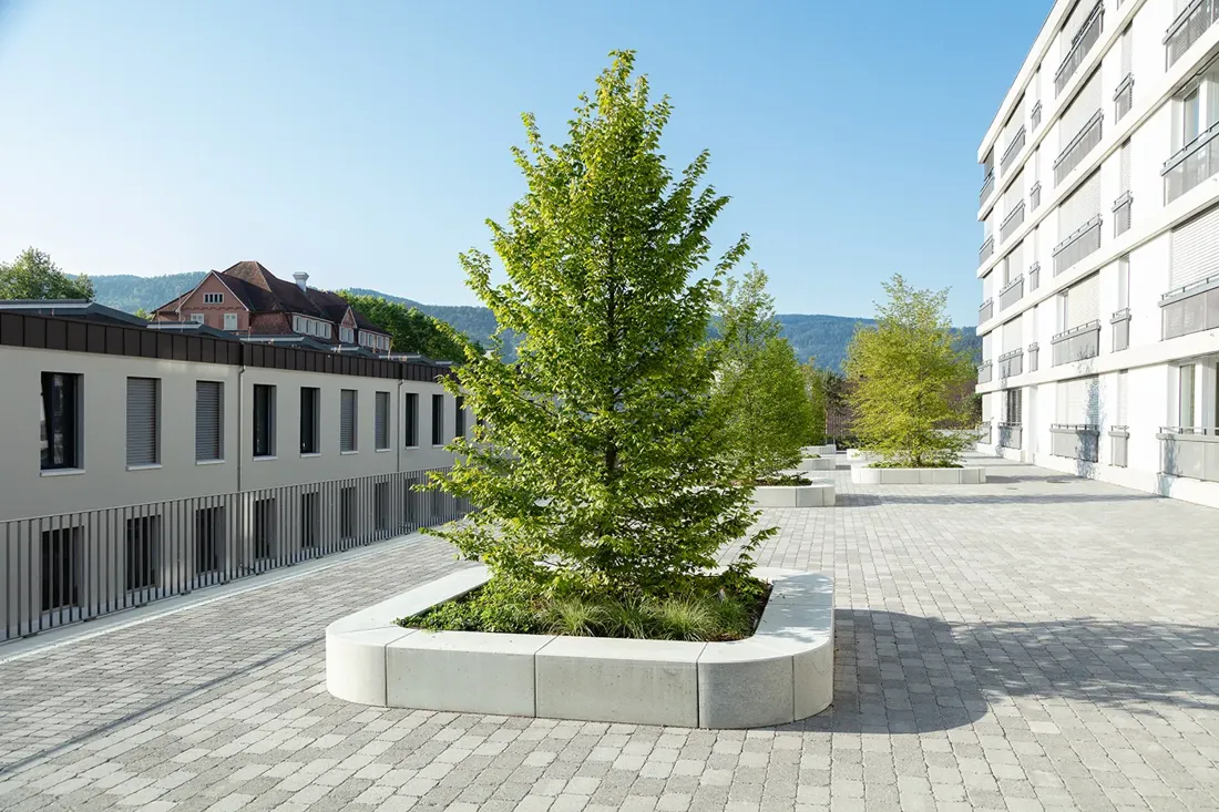 Wohnüberbauung mit Platz und Baum