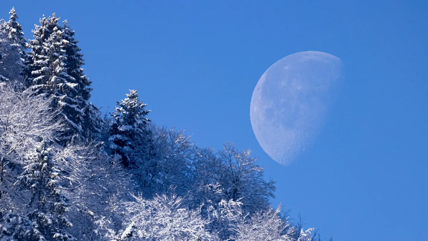 Winterlandschaft mit Mond